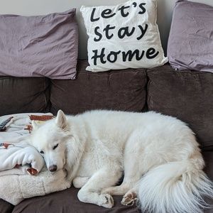 Meet your Posher, Andrew